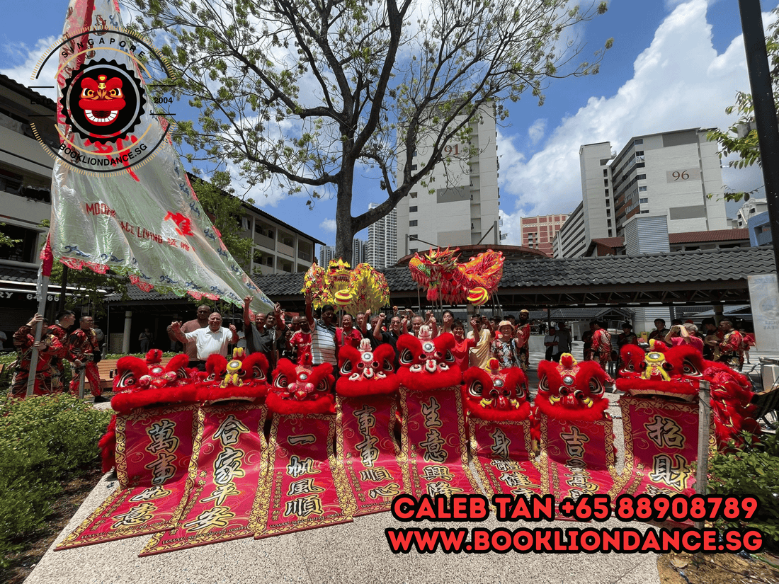 Book Lion Dance